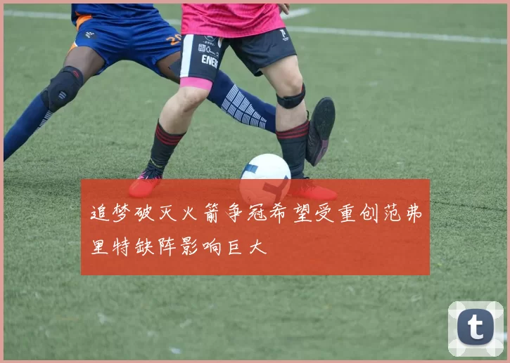 追梦破灭火箭争冠希望受重创范弗里特缺阵影响巨大
