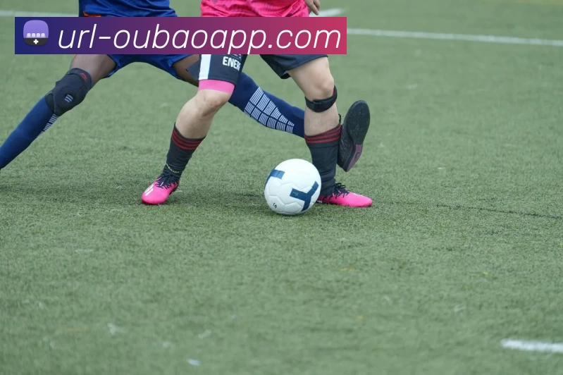 欧宝体育APP 体育赛事宣传图