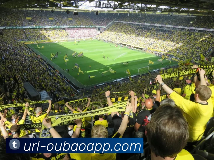 欧宝游戏全站App