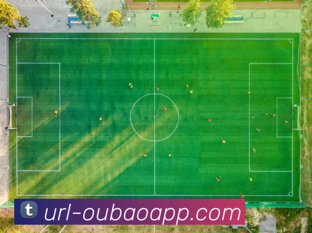 辅助工具